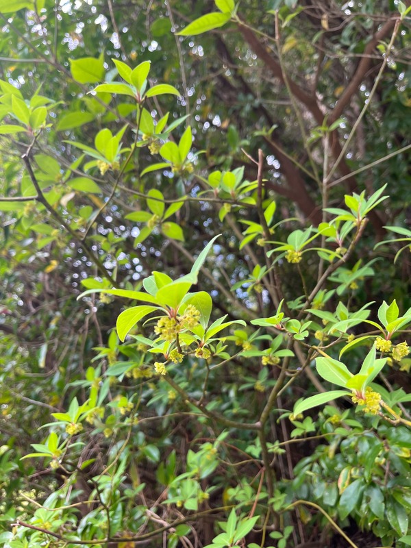 ブランドコンセプト